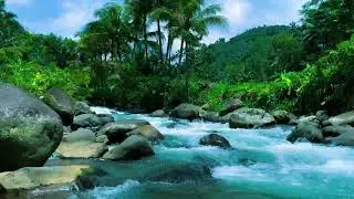 Slow River Sounds for Peaceful Night Sleep