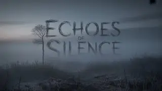 Echoes of Silence