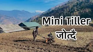 Mini Tiller जोत्दै आलु बारी बनाउदै॥MiniTiller Machine