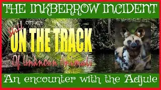 OTT #171: The Inkberrow Incident; encounter with the Adjule