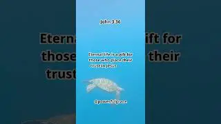 John 3:36 #bible #eternallife #godsword #shortsyoutube