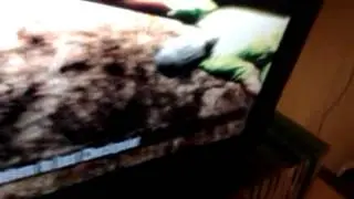 Gameplayer,s xbox. Trials hd world funny