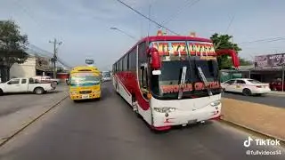 MI YELVITA EXPRESS😎
