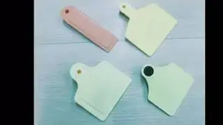 RFID Animal Ear Tag