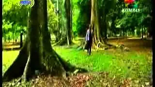 kawasan adat ammatoa