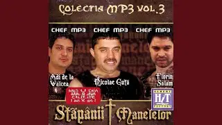 Tot Ce-Am Strans Si-Am Adunat