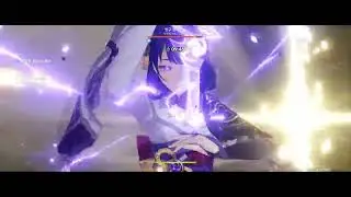 [GI] Raiden-Rosaria National / Eula-Raiden Comparison
