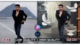 Pigeon Photo Editing Tutorial in Picsart | PicsArt & Lightroom Tutorial&nbsp; | Picsart Photo Editing