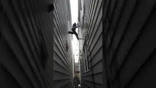 Squirrel Removal From Attic Near Me - Please Call (973) 388-9126