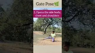 ✨Gate Pose🔥Parighasana & it's benifits#yoga #yogasa #youtube #viralshort