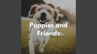 Atmospheric Piano Jazz - Vibe for Cozy Doggy Zone