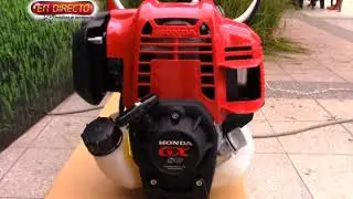 ¡Conoce más sobre la nueva Motoguadaña Honda UMK450T!