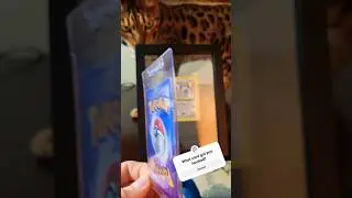 🔥 This Pok&eacute;mon card got me back into collecting!  #Charizard #pokemon🔥