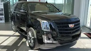 2020 Cadillac Escalade Luxury Review