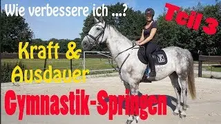 GYMNASTIK SPRINGEN | Wie verbessere ich ...?