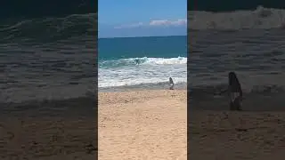 #windysurf#manlybeach#sydney☀️💨🇦🇺