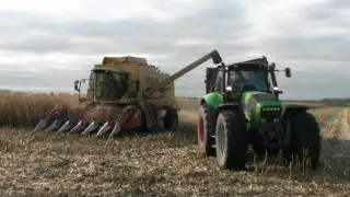 New Holland CX 8090 & TX 68 h&oslash;ster majs / is harvesting corn