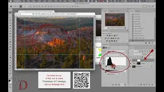 Photoshop CC: Master File Creation & Workflow in Action