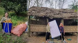 Building a Bamboo Room with a Homeless Old Woman - Harvesting Oranges - A New Life in the Forest