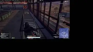 PUBG STEAM