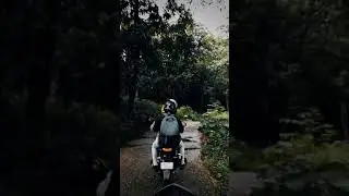 x pulse 200 lovers