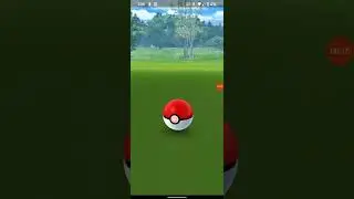 Shiny Fletchling  Pokemon Go 2021 community day #Shiny #Shorts #PokemonGo