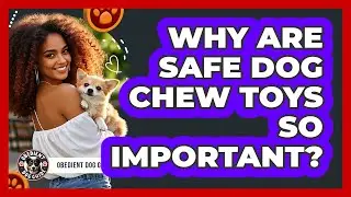Why Are Safe Dog Chew Toys So Important?