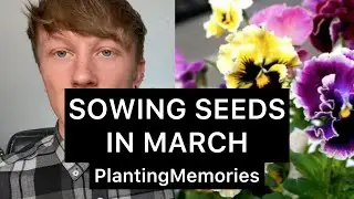Sowing March seeds | Tomatoes, Pansies and Drosera regia!