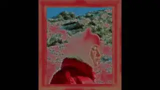 (FREE) 