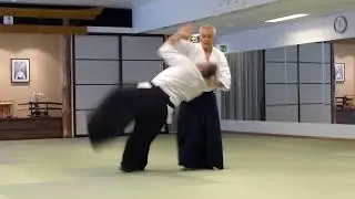 Aikido - Roberto Martucci - Rallentaiki 2