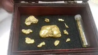 golden nuggets found with Golden Mask metal detector