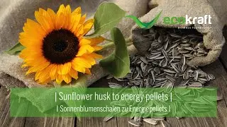 ECOKRAFT - Sunflower husk to energy pellets