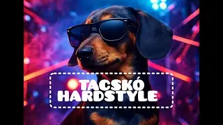 TACSKÓ HARDSTYLE - CyberTacskó 2077 – Hardstyle Dog Revolution Hungarian UnOfficial Music Video