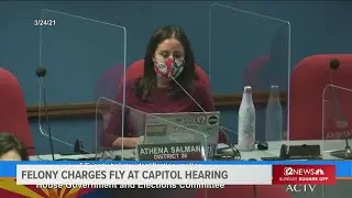 'You committed a felony': Chaos at hearing on voting bill