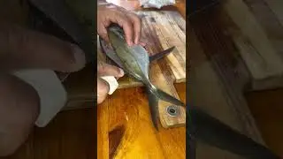 Trevally for fillet Friday #shorts #fillet