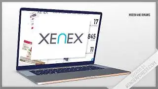 Website Designers Gold Coast
