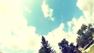 Gapping&rsquo; | Relaxin&rsquo; 💨 🌲