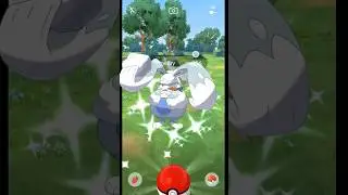 Мне повезло с ✨ Баннелби #pokemongo #pokemon #shiny #shorts #pok&eacute;mon #shinypokemon #lucky