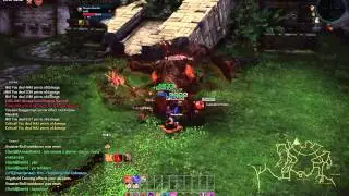 Warrior vs (BAM) Direpaw Mandrill