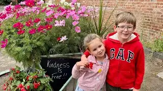 Tatton Park adventure | Gardens & Farm | August 2022