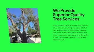 Trusted Tree  Service Provider Company in Spring Hill, FL