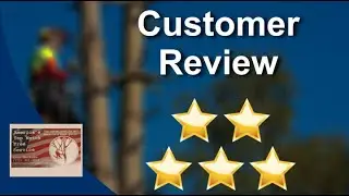 America's Top Notch Tree Service Reviews - Five Stars for Tree Trimming in Jensen Beach, FL