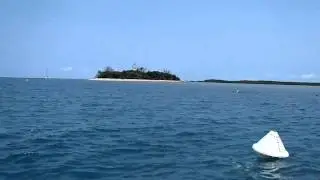 Low Isles on Reef Sprinter