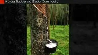 Rubber Prices, Custom Fabrication, and Supply Chains