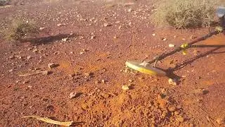 Kathy Gets Some Nice GOLD Nuggets on CZL