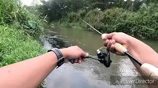 Test pro marine trout ace 2-4lb