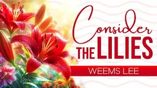 Consider The Lilies in Original Song Style (Hymn) Lyrics | Weems Lee | by Roger Hoffman | StatMatics