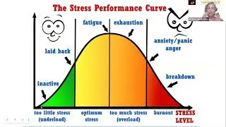 CFS Webinar on Stress Management