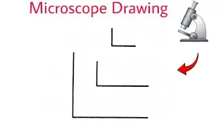 How to draw microscope | microscope drawing | microscope diagram | compound microscope drawing