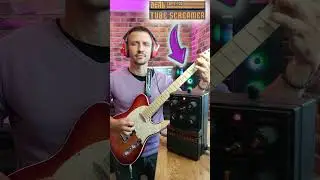 🎸 КАКОЙ СКРИМЕР ВАМ НРАВИТСЯ? ЛЕЛЬ TSPS-700 vs Ibanez TS-9 #гитара #гитарист #ibanez #лельTS #guitar